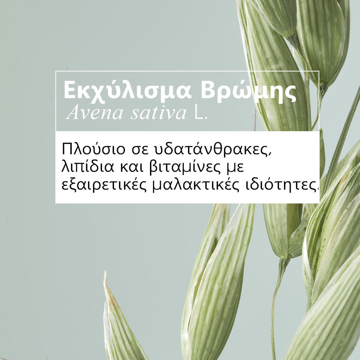 KLORANE - Shampooing Sec a l' Avoine & Ceramides (με χρώμα) - 150ml